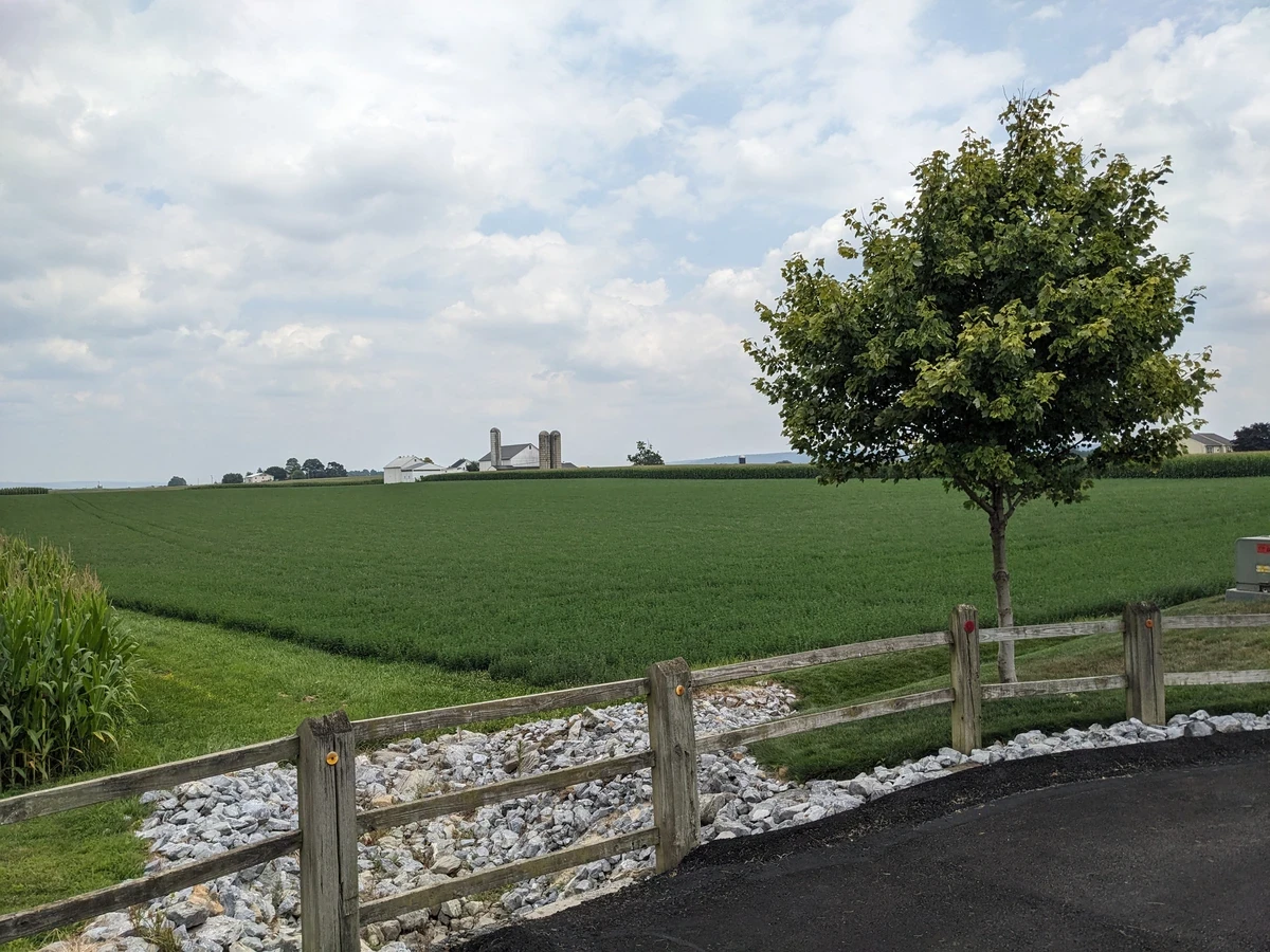 Farm buildings in the distance with a green field and a wooden fence close.